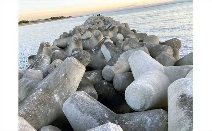 「食い渋りのカサゴはカサゴで釣るべし」 内臓エサの有効性を実釣検証してみた