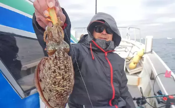 「シーズン初期の伊勢湾でコウイカ釣り好調【愛知・南知多】3連続ヒット含め6匹キャッチ」の画像