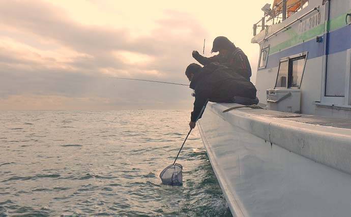 シーズン初期の伊勢湾でコウイカ釣り好調【愛知・南知多】3連続ヒット含め6匹キャッチ