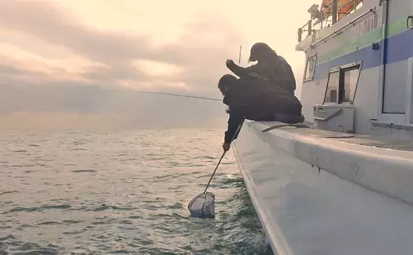 「シーズン初期の伊勢湾でコウイカ釣り好調【愛知・南知多】3連続ヒット含め6匹キャッチ」の画像