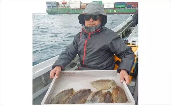 「シーズン初期の伊勢湾でコウイカ釣り好調【愛知・南知多】3連続ヒット含め6匹キャッチ」の画像