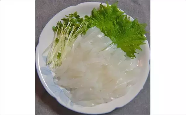 「シーズン初期の伊勢湾でコウイカ釣り好調【愛知・南知多】3連続ヒット含め6匹キャッチ」の画像