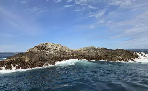 「伊豆半島の磯フカセ釣果レポート：38cm尾長メジナ登場もイサキは不発【沖横根】」の画像