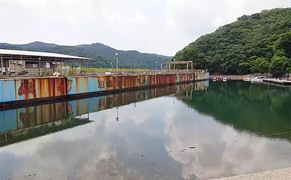 「海上釣り堀でブランドマダイを好捕　エサ取り対策は練りエサ5個付け？」の画像