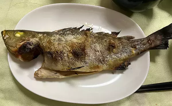 「沖の五目釣りで本命イサキに60cm級メダイで五目達成【神奈川・秀吉丸】」の画像