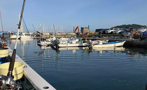 「沖の五目釣りで本命イサキに60cm級メダイで五目達成【神奈川・秀吉丸】」の画像