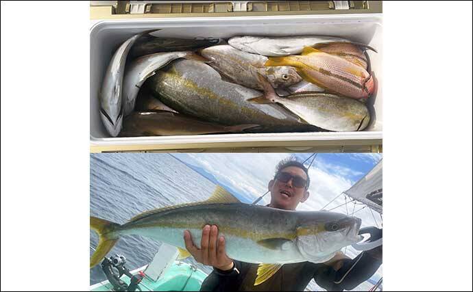 【沖釣り釣果速報】落とし込み釣りでヒラマサ107cm浮上！エサ付き抜群で青物ラッシュ！（福岡）
