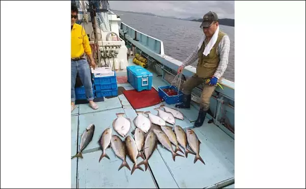 「【沖釣り釣果速報】落とし込み釣りでヒラマサ107cm浮上！エサ付き抜群で青物ラッシュ！（福岡）」の画像