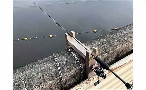 「ライトソルトロッドを流用して陸っぱりワカサギ釣りに挑戦してみた」の画像