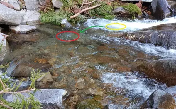 「「竿抜けポイント」の発見が釣果の決め手！ 渓流エサ釣りで釣果アップ術」の画像