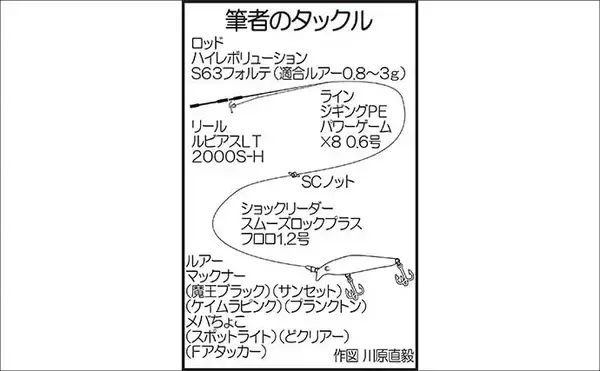 「「陸っぱりメバリングで28cmメバル出た！」プラグルアーにヒット【広島】」の画像