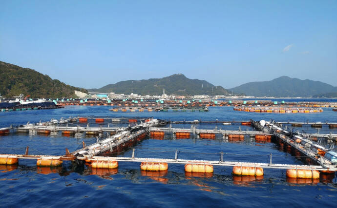 「淡水魚から海藻まで？」 世界の食卓を支える意外な養殖魚介たち