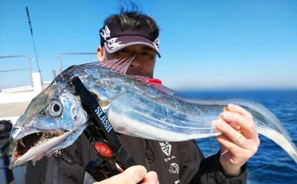 熊本 大分 沖釣り最新釣果 タチウオ狙いで指幅6本級交え良型数釣り 22年3月16日 エキサイトニュース