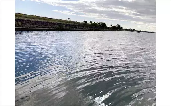 「穴釣りで20cm大ハゼが登場！【三重・長良川河口】19cmウロハゼも顔見せ」の画像