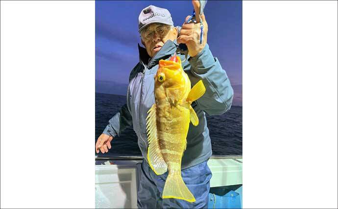 【沖釣り釣果速報】平戸沖の落とし込み釣りでヒラマサがズラリ！7kg頭に連発劇（長崎・佐賀）