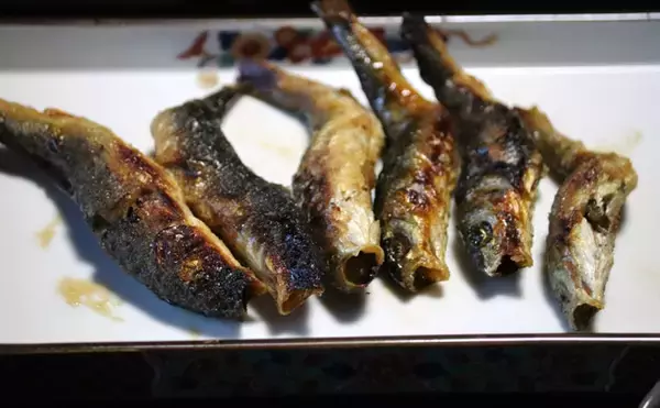 「河川の雑魚代表「オイカワ・カワムツ・ウグイ」は似たもの同士？」の画像