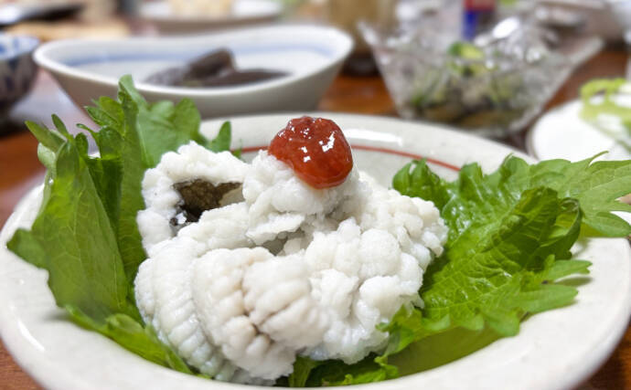 「京の鱧（ハモ）は夏が旬」は間違い？　実は秋冬が安くて美味しかった！