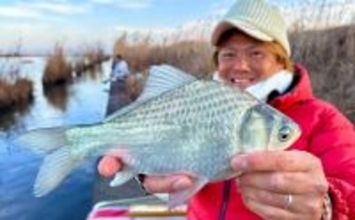 吉田康雄のザ・チャレンジへらぶな【流れ川で美ベラ狙い#4】