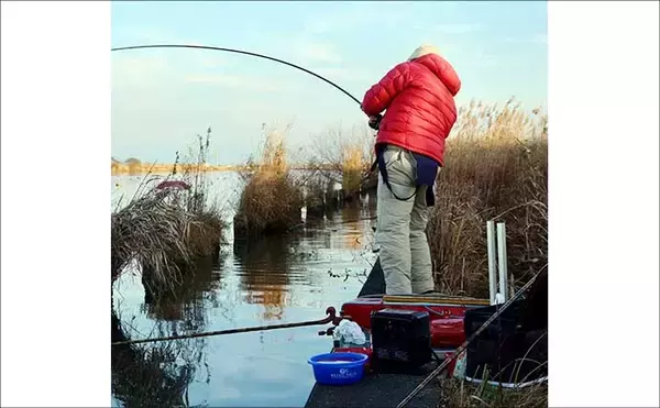 「吉田康雄のザ・チャレンジへらぶな【流れ川で美ベラ狙い#4】」の画像