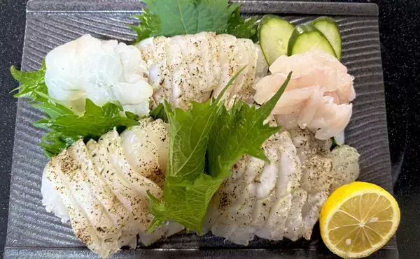 「解禁直後の飯岡沖ヒラメ釣りで2kg超え本命手中【千葉】低活性の魚を好感度＆軽量タックルで攻略」の画像
