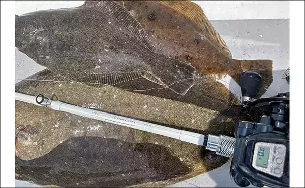 「解禁直後の飯岡沖ヒラメ釣りで2kg超え本命手中【千葉】低活性の魚を好感度＆軽量タックルで攻略」の画像