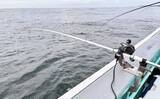 「解禁直後の飯岡沖ヒラメ釣りで2kg超え本命手中【千葉】低活性の魚を好感度＆軽量タックルで攻略」の画像3