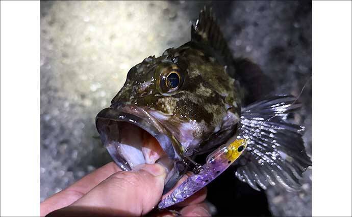 釣りのベテランはデータよりも「勘」を信じる　「今日は釣れそう」の感覚とは？