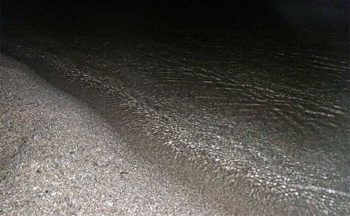 琵琶湖『ワカサギすくい』満喫　激アツポイント発見で1時間で120匹GET