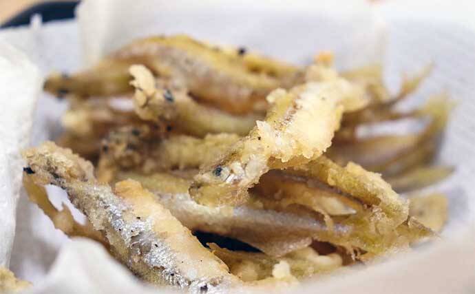 琵琶湖『ワカサギすくい』満喫　激アツポイント発見で1時間で120匹GET