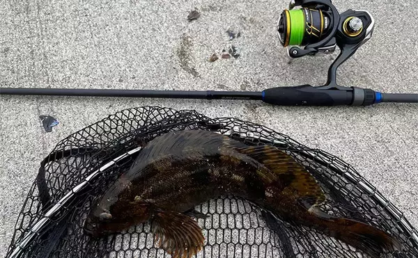 「北海道の漁港ロックフィッシュゲームで43cm頭にアイナメ複数安打を達成！」の画像