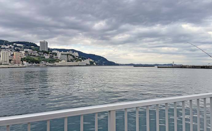 「渋い熱海港のサバを攻略！」サビキからフカセ釣りへの変更で連続ヒット【静岡】