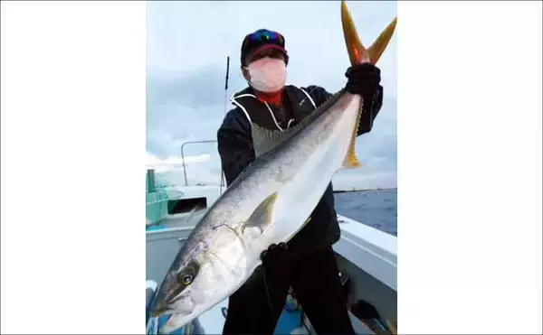 「【沖釣り釣果速報】ヒラマサがデッキにズラリ！玄界灘の落とし込み釣りで青物続々ヒット（福岡）」の画像