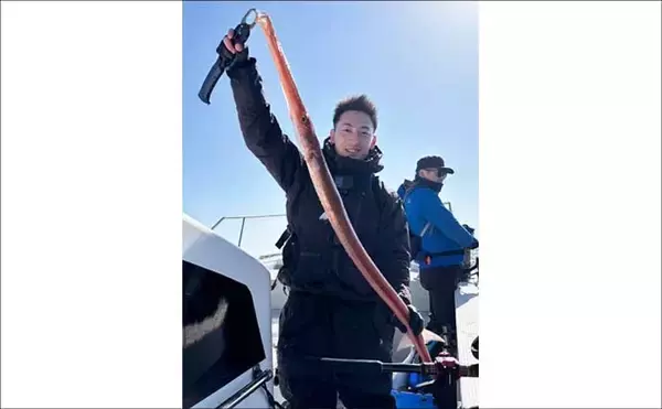 「【沖釣り釣果速報】ヒラマサがデッキにズラリ！玄界灘の落とし込み釣りで青物続々ヒット（福岡）」の画像