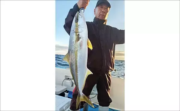 「【沖釣り釣果速報】ヒラマサがデッキにズラリ！玄界灘の落とし込み釣りで青物続々ヒット（福岡）」の画像