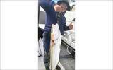「【沖釣り釣果速報】ヒラマサがデッキにズラリ！玄界灘の落とし込み釣りで青物続々ヒット（福岡）」の画像13