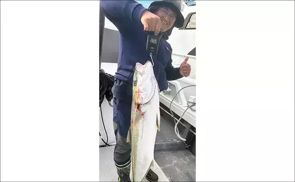 「【沖釣り釣果速報】ヒラマサがデッキにズラリ！玄界灘の落とし込み釣りで青物続々ヒット（福岡）」の画像