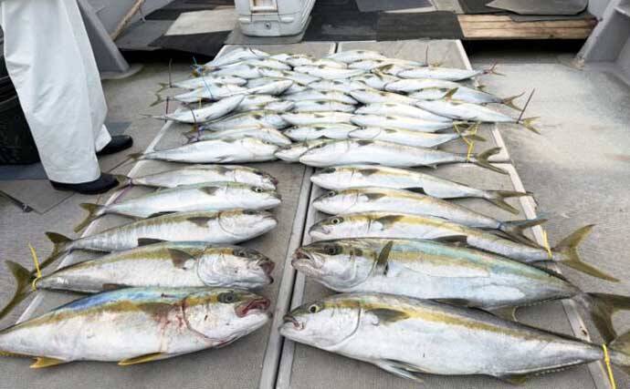 【沖釣り釣果速報】ヒラマサがデッキにズラリ！玄界灘の落とし込み釣りで青物続々ヒット（福岡）
