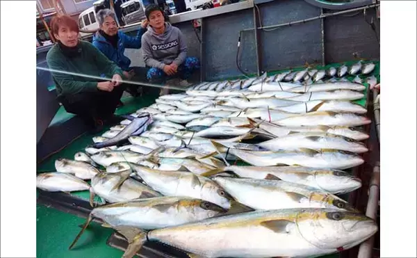 「【沖釣り釣果速報】ヒラマサがデッキにズラリ！玄界灘の落とし込み釣りで青物続々ヒット（福岡）」の画像