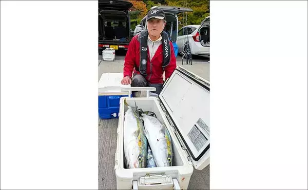 「【沖釣り釣果速報】ヒラマサがデッキにズラリ！玄界灘の落とし込み釣りで青物続々ヒット（福岡）」の画像