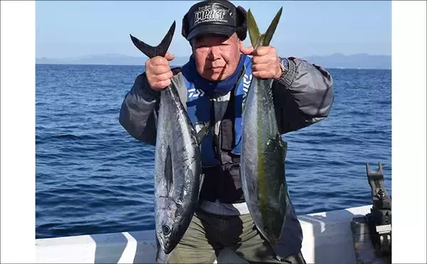 「【沖釣り釣果速報】ヒラマサがデッキにズラリ！玄界灘の落とし込み釣りで青物続々ヒット（福岡）」の画像