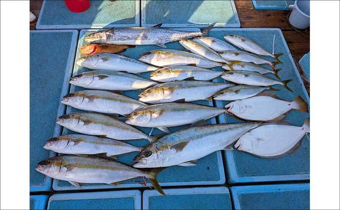 【沖釣り釣果速報】ヒラマサがデッキにズラリ！玄界灘の落とし込み釣りで青物続々ヒット（福岡）