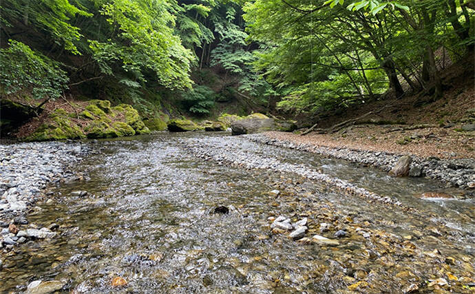 釣具店スタッフ200人に聞いた【釣りで一番感動した瞬間】ランキング　約半数が回答した体験とは？