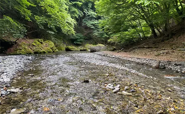 「釣具店スタッフ200人に聞いた【釣りで一番感動した瞬間】ランキング　約半数が回答した体験とは？」の画像