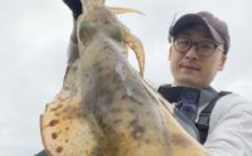 「春イカが猛チェイス！」地磯エギングでキロ超えアオリイカが足元でヒット【福岡】