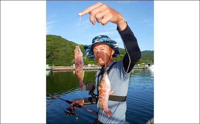 三重のイカダ五目釣りで良型マハタ浮上　サビキで釣ったアジ泳がせ手中