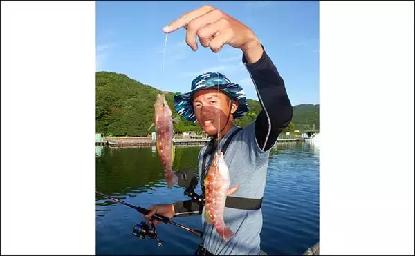 「三重のイカダ五目釣りで良型マハタ浮上　サビキで釣ったアジ泳がせ手中」の画像