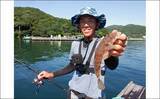 「三重のイカダ五目釣りで良型マハタ浮上　サビキで釣ったアジ泳がせ手中」の画像8