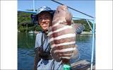 「三重のイカダ五目釣りで良型マハタ浮上　サビキで釣ったアジ泳がせ手中」の画像9