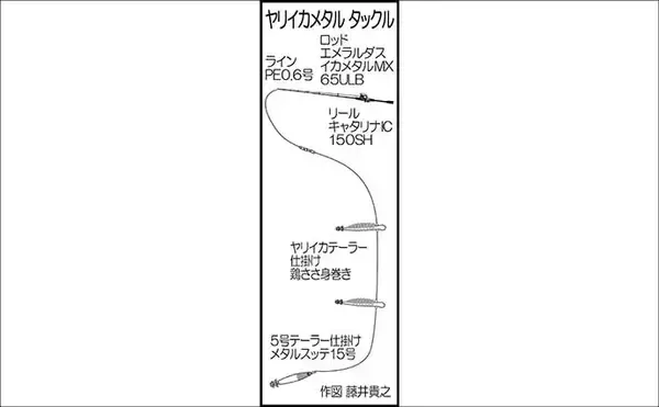 「イカメタルでヤリイカで連発！ヒットは胴長30～40cm級の雄ばかり【長門沖・山口】」の画像