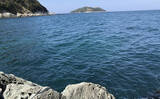 「チヌフカセ釣り大会に参戦【和歌山・初島】 開始わずか30分でリミット達成！」の画像2